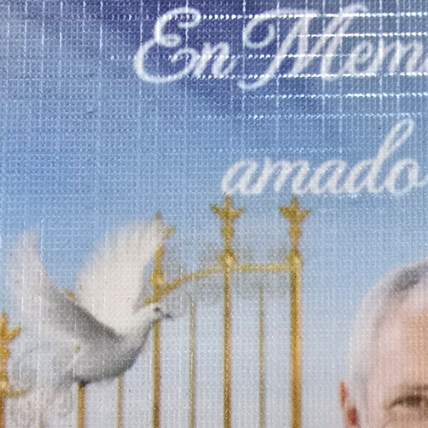 Mesa-de-trabajo-2.png Cuadro de Vida en Bastidor Inglés