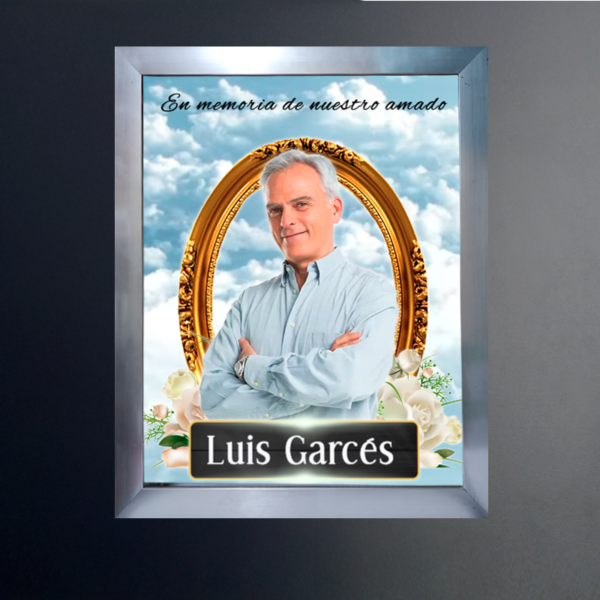 Cuadro de Vida 
Enmarcado Clásico 40x50 cm